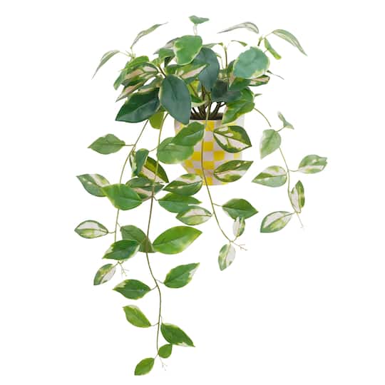 14" Hoya Carnosa in Yellow Checkered Ceramic Pot by Ashland®